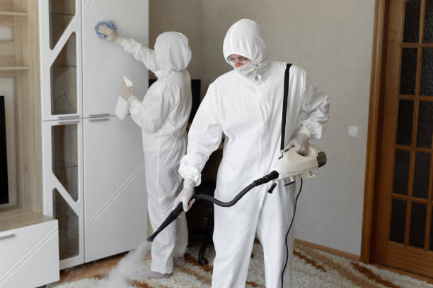 Mold Removal Process in Picacho Hills, NM